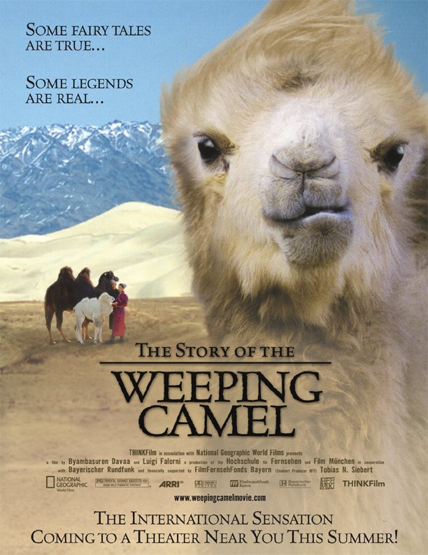 Photo of Die Geschichte vom weinenden Kamel